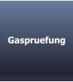 Gaspruefung
