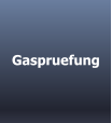 Gaspruefung
